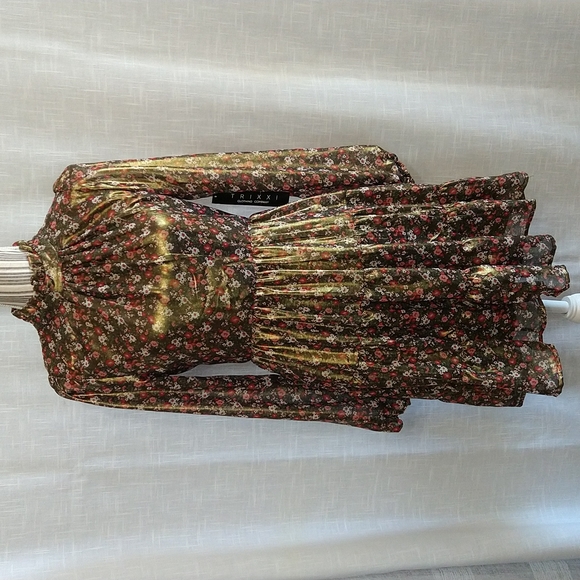 Metallic Chiffon Flowered Fit&Flare Long Sleeves Mini Dress Mock Neck Sz Medium - Picture 4 of 15